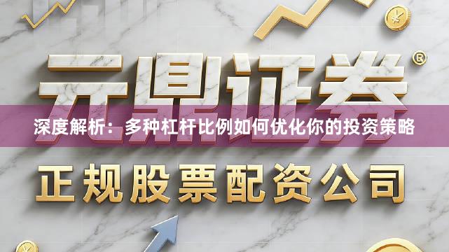 深度解析：多种杠杆比例如何优化你的投资策略