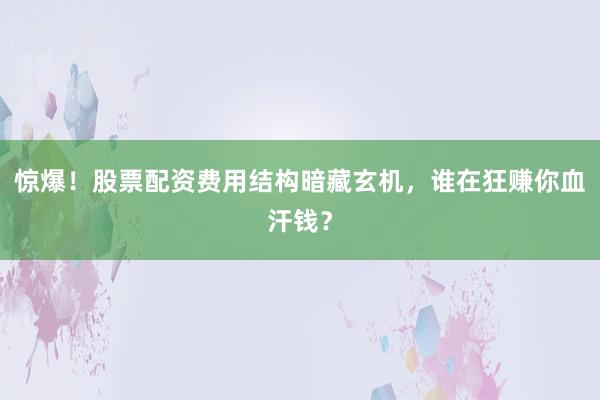 惊爆！股票配资费用结构暗藏玄机，谁在狂赚你血汗钱？