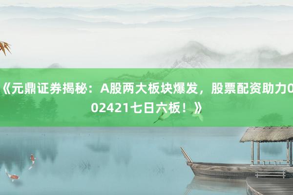 《元鼎证券揭秘：A股两大板块爆发，股票配资助力002421七日六板！》