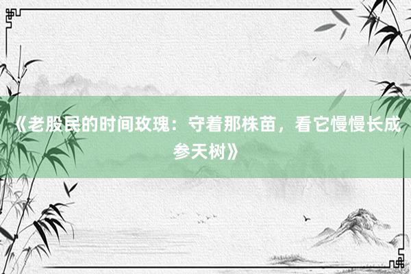 《老股民的时间玫瑰：守着那株苗，看它慢慢长成参天树》