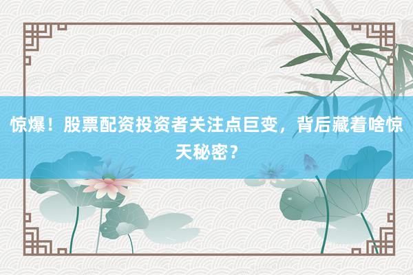 惊爆！股票配资投资者关注点巨变，背后藏着啥惊天秘密？