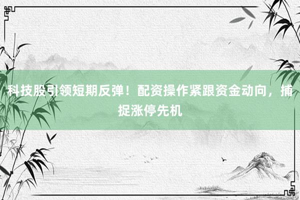 科技股引领短期反弹！配资操作紧跟资金动向，捕捉涨停先机