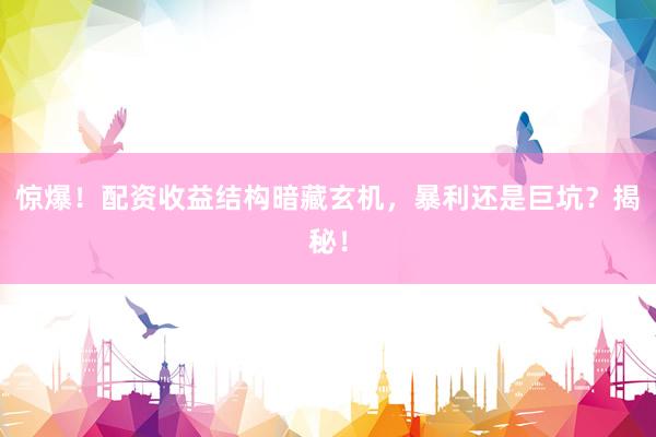 惊爆！配资收益结构暗藏玄机，暴利还是巨坑？揭秘！