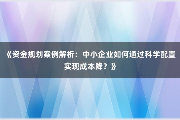 《资金规划案例解析：中小企业如何通过科学配置实现成本降？》