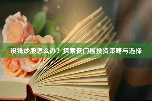 没钱炒股怎么办？探索低门槛投资策略与选择
