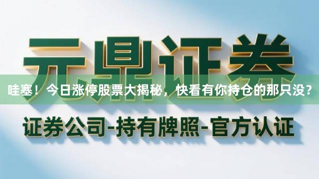 哇塞！今日涨停股票大揭秘，快看有你持仓的那只没？