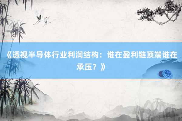 《透视半导体行业利润结构：谁在盈利链顶端谁在承压？》