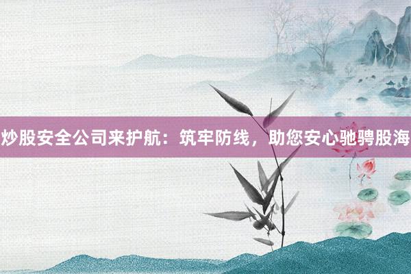 炒股安全公司来护航：筑牢防线，助您安心驰骋股海
