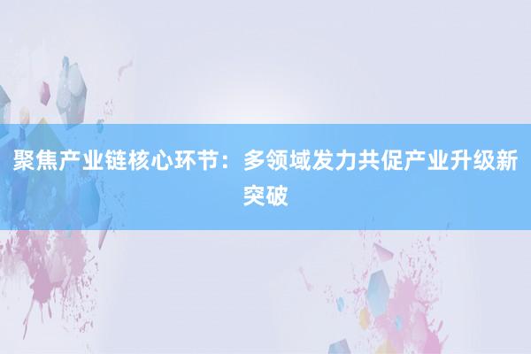 聚焦产业链核心环节：多领域发力共促产业升级新突破